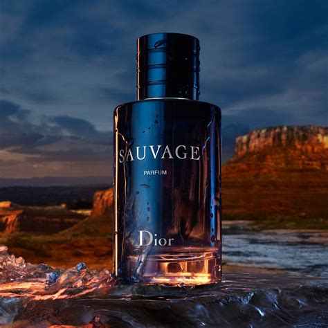 dior sauvage parfum dior|dior sauvage 100ml best price.